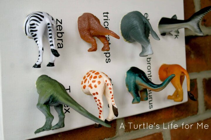 animal speciment art boys christmas gift diy