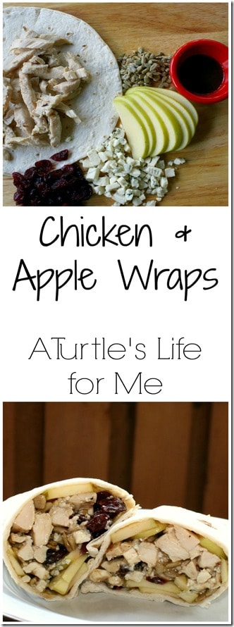 cranberry apple chicken wrap