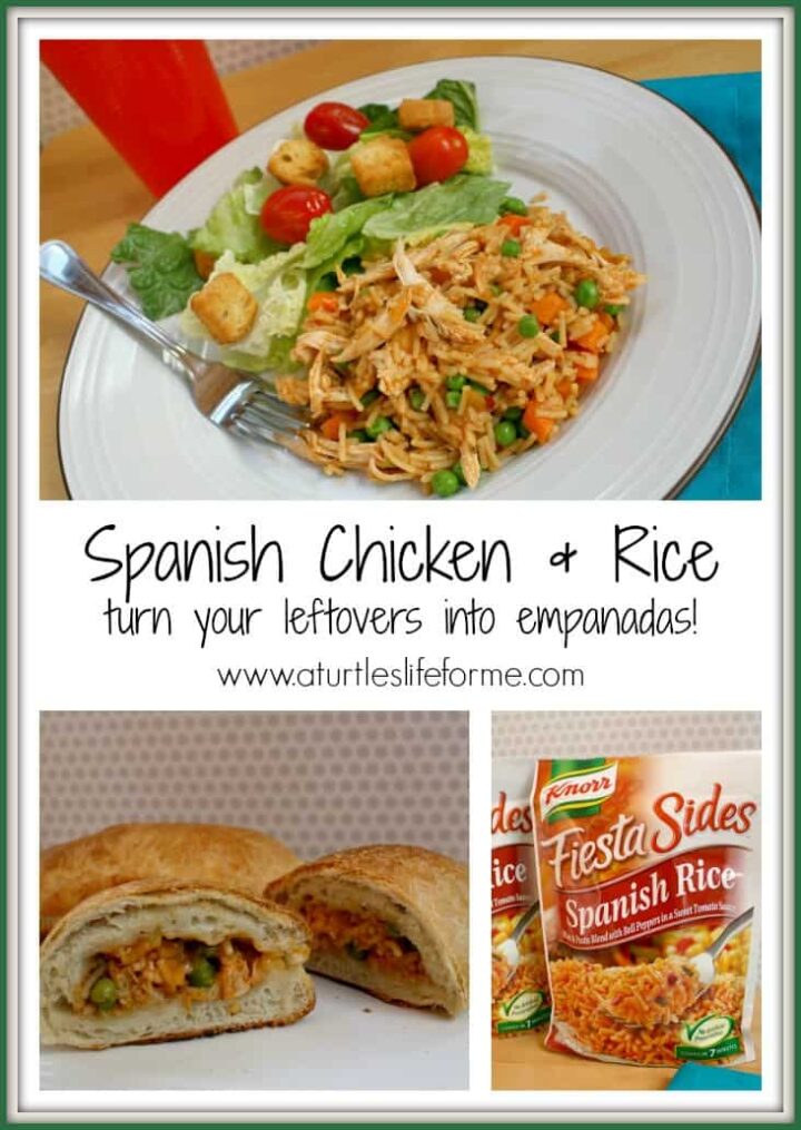 knorr chicken rice spanish empanda collage1