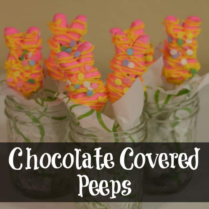 Choco Covered Peeps