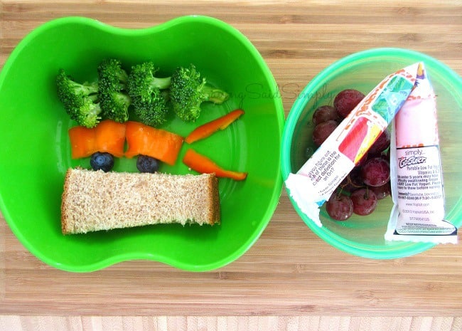 TMNT Bento Lunchbox Idea