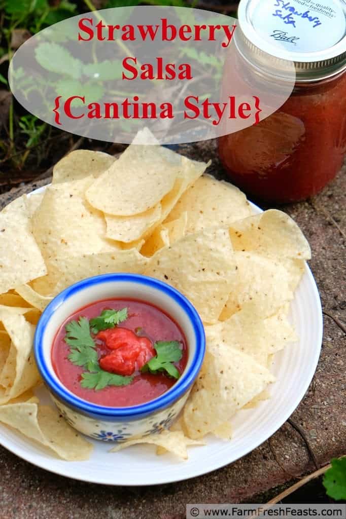 strawberry salsa Cantina Style