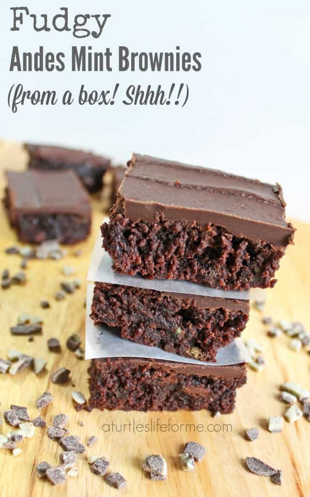 andes mint brownies from a box- A Turtle's Life for Me