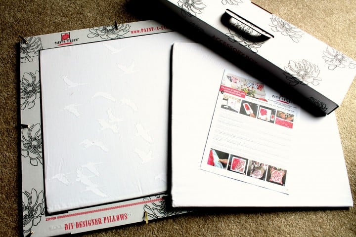 paint a pillow kit