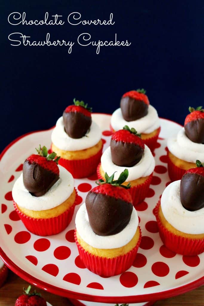 Chocolate Covered Strawberry Cupcakes topped with  fresh whipped cream  and served on a white and red serving plate