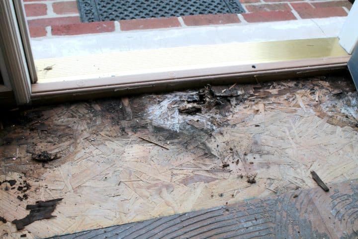 A water leak by the front door of a home being renovated. The subfloor is shown to be damaged by the leak